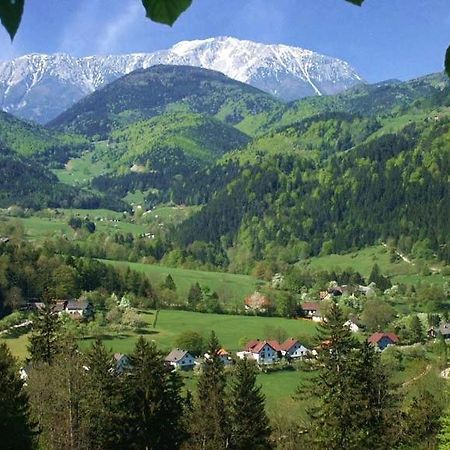 Cprooms24 Miesenbach  Dış mekan fotoğraf